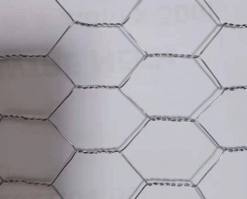 Hexagonal Wire Mesh 21-8-20-1