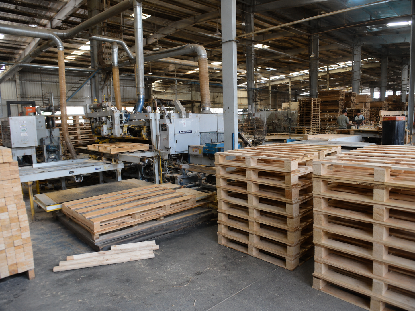 Wooden pallet manufacturing factory
