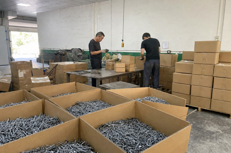 reliable common nail manufacturer in China for wholesale buyers