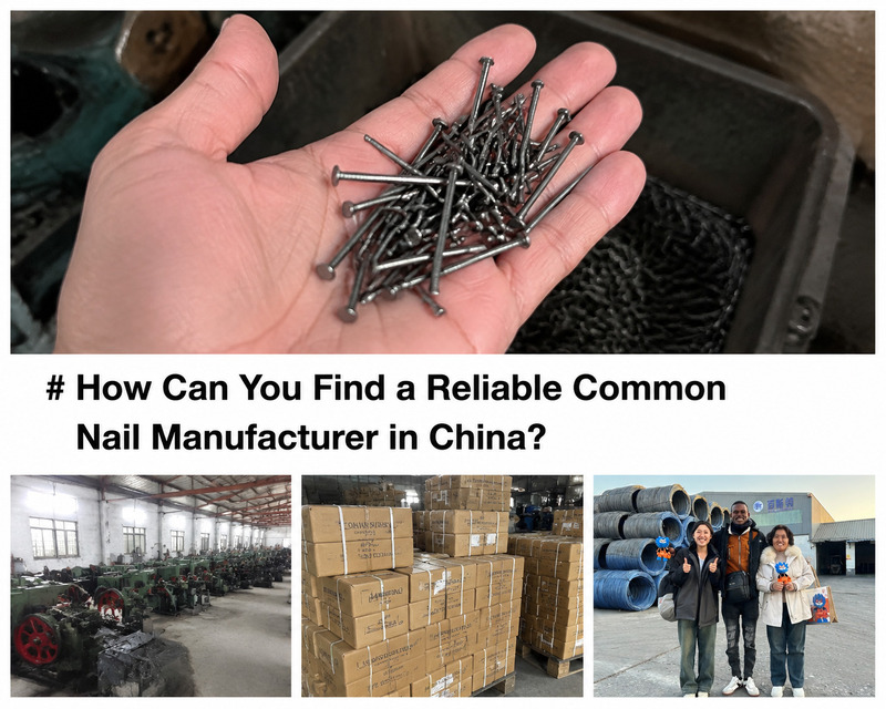 How Can You Find a Reliable Common Nail Manufacturer in China?